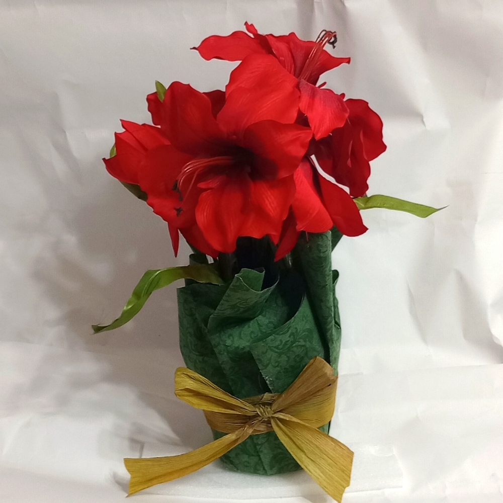 Red flowers with green bow